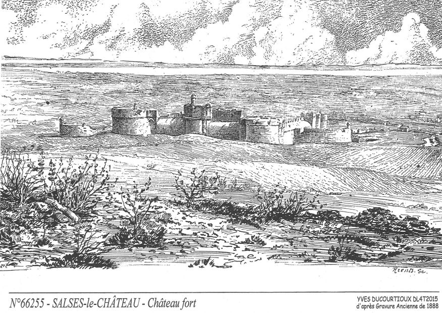 N 66255 - SALSES LE CHATEAU - chteau fort
